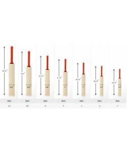 Flx Cricket  FINESSE ENGLISH G4